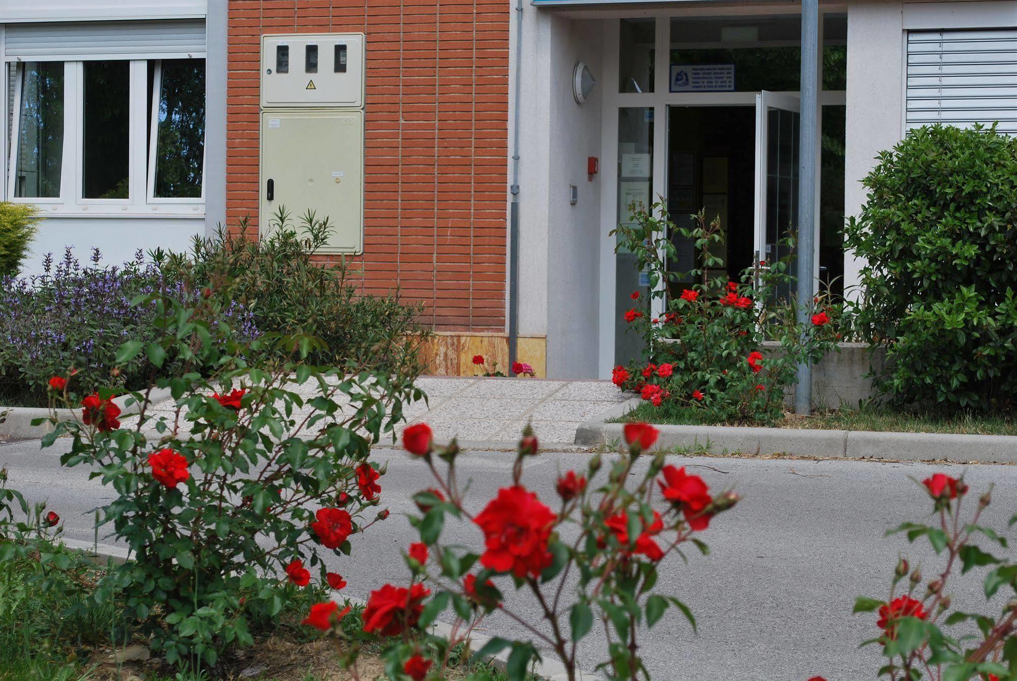Bed And Breakfast Kogoj Nova Gorica Exteriör bild