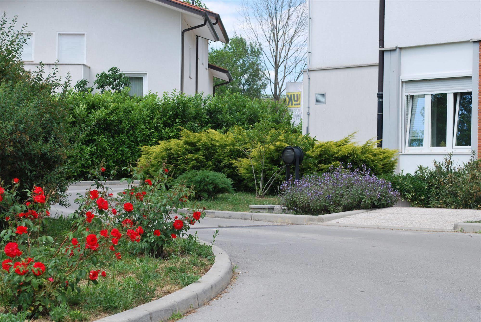 Bed And Breakfast Kogoj Nova Gorica Exteriör bild
